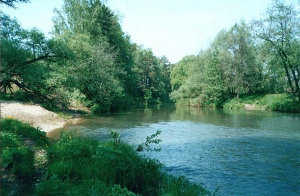 mre0055.jpg